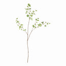 NAPA Home & Garden, JAPANESE DODAN BRANCH 50"