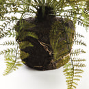 NAPA Home & Garden, SOFT FERN DROP-IN Collection