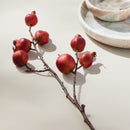 POMEGRANATE BRANCH 21.5"