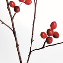 ROSEHIP BRANCH 43"