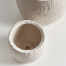 NAPA Home & Garden, GIANNA POTS, SET OF 2,N5CD18