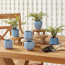 NAPA Home & Garden, DEZIE MINI POTS, SET OF 6