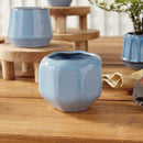 NAPA Home & Garden, DEZIE MINI POTS, COLLECTION