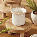 NAPA Home & Garden, DEZIE MINI POTS, COLLECTION