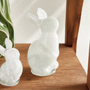 NAPA Home & Garden, DAISY MAE BUNNY