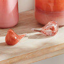 NAPA Home & Garden, Little Finches Collection