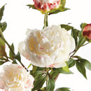 Peony Branch by NAPA Home & Garden