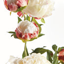 Peony Branch by NAPA Home & Garden