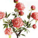 Peony Branch by NAPA Home & Garden
