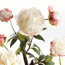 Peony Potted Drop-In
