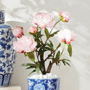 Peony Potted Drop-In