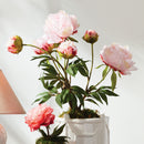 Peony Potted Drop-In