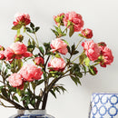 PEONY BRANCH