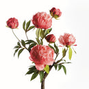 PEONY BRANCH