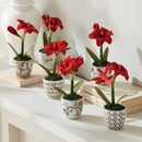 MINI AMARYLLIS POTTED DROP-IN 9"