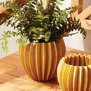 NAPA Home & Garden, NIKKO POT Collection