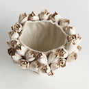 COURTNEY & EVELYN HOME DECOR COLLECTION