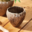 COURTNEY & EVELYN HOME DECOR COLLECTION
