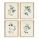 NAPA Home & Garden, OLIVE STEMS STUDY, SET OF 4