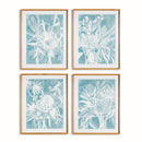 NAPA Home & Garden, PROTEA ABSTRACT PRINTS IN SOFT BLUE, SET OF 4
