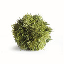 NAPA Home & Garden, CYPRESS ORB 4.5"