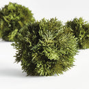 NAPA Home & Garden, CYPRESS ORB Collection