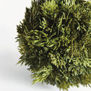 NAPA Home & Garden, CYPRESS ORB Collection
