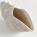 NAPA Home & Garden, NAUTILUS SHELL VASE,N5UG09