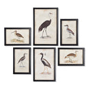 NAPA Home & Garden, WATERFOWL GALLERY, SET OF 6