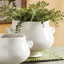NAPA Home & Garden, WELLON FOOTED CACHEPOT LARGE
