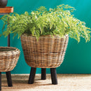 NAPA Home & Garden, SOFT FERN DROP-IN Collection