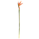 NAPA Home & Garden, BIRD OF PARADISE STEM 31.5"