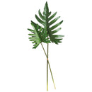 NAPA Home & Garden, SPLIT LEAF SELLOUM STEMS, BUNDLE OF 2