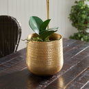 NAPA Home & Garden, EMBERLYNN CACHEPOT Collection