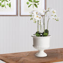 NAPA Home & Garden, MIRABELLE DECORATIVE PEDESTAL BOWL LARGE