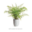 NAPA Home & Garden, MIRABELLE SCALLOPED EDGE CACHEPOT,NFD227