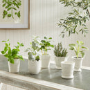 NAPA Home & Garden, MIRABELLE MINI CACHEPOTS, SET OF 6,NFD229
