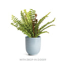 NAPA Home & Garden, MIA Mini Pot Collection
