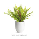 NAPA Home & Garden, MIA Mini Pot Collection