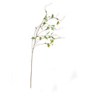 NAPA Home & Garden, HOPS BRANCH 39"