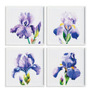 NAPA Home & Garden, IRIS PRINTS, SET OF 4