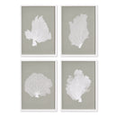 NAPA Home & Garden, CORAL FANS STUDY, SET OF 4