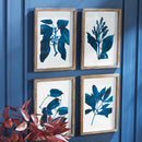 NAPA Home & Garden, INDIGO BOTANICALS, SET OF 4,NH401