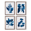 NAPA Home & Garden, INDIGO BOTANICALS, SET OF 4
