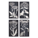 NAPA Home & Garden, MONOCHROME QUEEN ANNE'S LACE PRINTS, SET OF 4