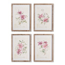 NAPA Home & Garden, PINK CLEMATIS PRINTS, SET OF 4