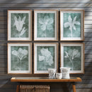 NAPA Home & Garden, TRANSLUCENT FLORAL PRINTS, SET OF 6,NH411