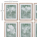 NAPA Home & Garden, TRANSLUCENT FLORAL PRINTS, SET OF 6,NH411
