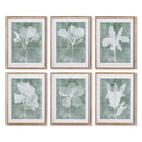 NAPA Home & Garden, TRANSLUCENT FLORAL PRINTS, SET OF 6