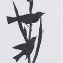 NAPA Home & Garden, BIRD SILHOUETTE PRINTS, SET OF 4,NH412
